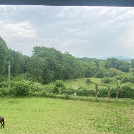 Appartement Dans Belle Maison Basque Mouguerre 외부 사진