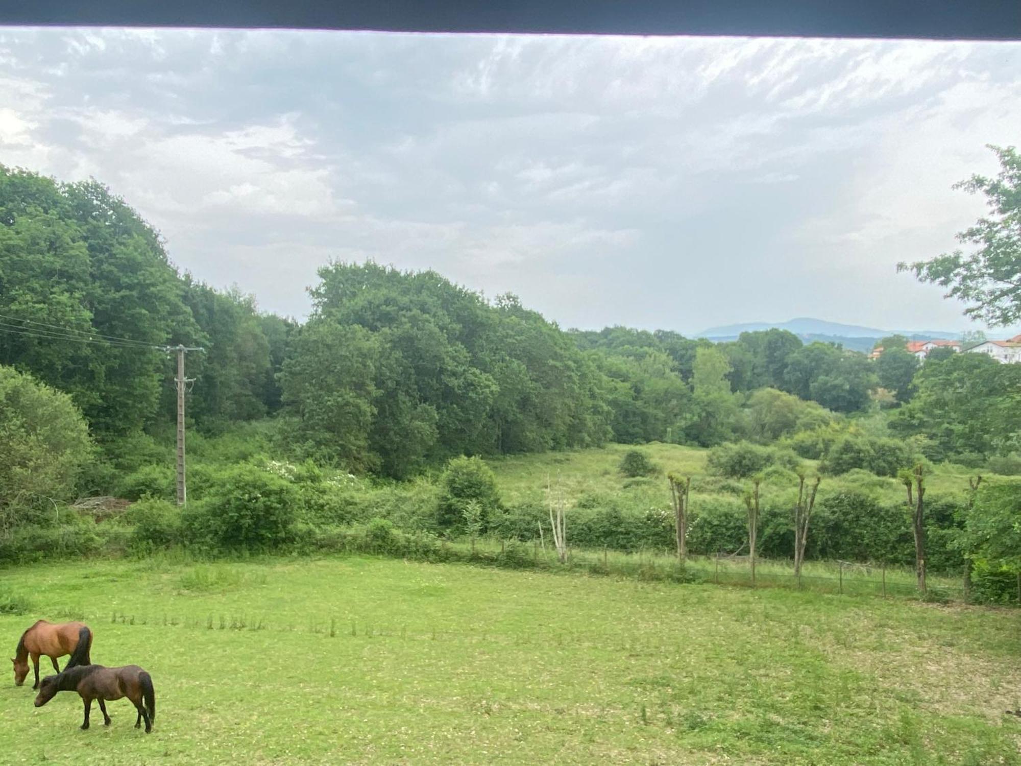 Appartement Dans Belle Maison Basque Mouguerre 외부 사진